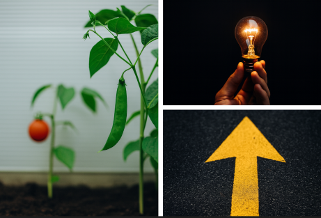 Contrast (コントラスト) イメージ